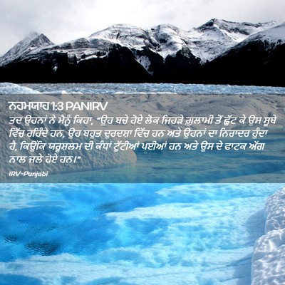 Picture 02 - ਨਹਮਯਾਹ 1:3 PANIRV - ਤਦ ਉਹਨਾਂ ਨੇ ਮੈਨੂੰ - Bible Verse Picture