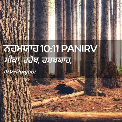 Picture 02 - ਨਹਮਯਾਹ 10:11 PANIRV - ਮੀਕਾ, ਰਹੋਬ, - Bible Verse Picture
