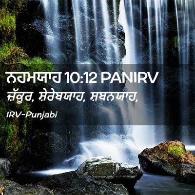 Picture 02 - ਨਹਮਯਾਹ 10:12 PANIRV - ਜ਼ੱਕੂਰ, ਸ਼ੇਰੇਬਯਾਹ, - Bible Verse Picture