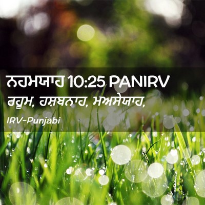 Picture 02 - ਨਹਮਯਾਹ 10:25 PANIRV - ਰਹੂਮ, ਹਸ਼ਬਨਾਹ, - Bible Verse Picture