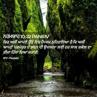 Picture 02 - ਨਹਮਯਾਹ 10:32 PANIRV - ਫਿਰ ਅਸੀਂ ਆਪਣੇ ਉੱਤੇ - Bible Verse Picture
