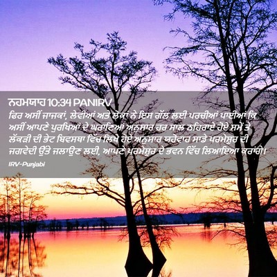 Picture 02 - ਨਹਮਯਾਹ 10:34 PANIRV - ਫਿਰ ਅਸੀਂ ਜਾਜਕਾਂ, - Bible Verse Picture