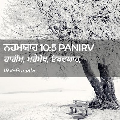 Picture 02 - ਨਹਮਯਾਹ 10:5 PANIRV - ਹਾਰੀਮ, ਮਰੇਮੋਥ, - Bible Verse Picture
