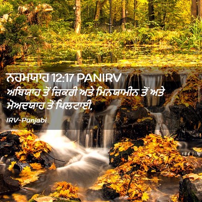 Picture 02 - ਨਹਮਯਾਹ 12:17 PANIRV - ਅਬਿਯਾਹ ਤੋਂ ਜ਼ਿਕਰੀ - Bible Verse Picture