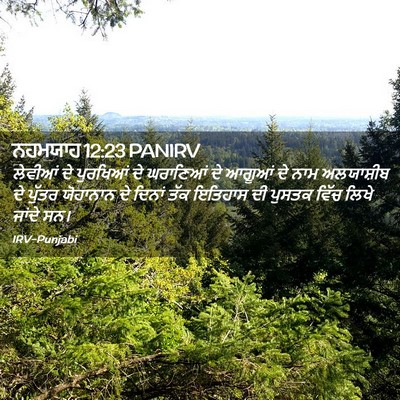 Picture 02 - ਨਹਮਯਾਹ 12:23 PANIRV - ਲੇਵੀਆਂ ਦੇ ਪੁਰਖਿਆਂ - Bible Verse Picture