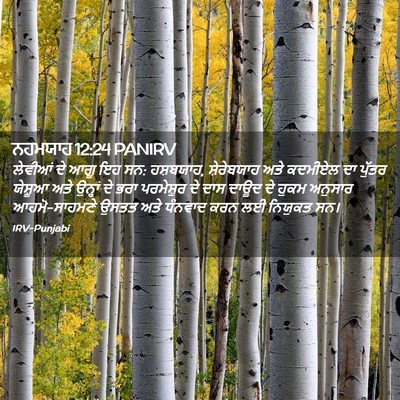Picture 02 - ਨਹਮਯਾਹ 12:24 PANIRV - ਲੇਵੀਆਂ ਦੇ ਆਗੂ ਇਹ - Bible Verse Picture