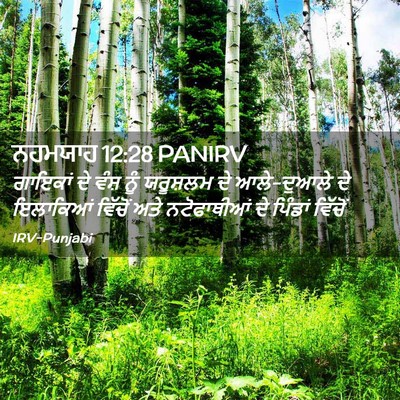 Picture 02 - ਨਹਮਯਾਹ 12:28 PANIRV - ਗਾਇਕਾਂ ਦੇ ਵੰਸ਼ ਨੂੰ - Bible Verse Picture