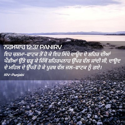 Picture 02 - ਨਹਮਯਾਹ 12:37 PANIRV - ਇਹ ਚਸ਼ਮਾ-ਫਾਟਕ ਤੋਂ - Bible Verse Picture