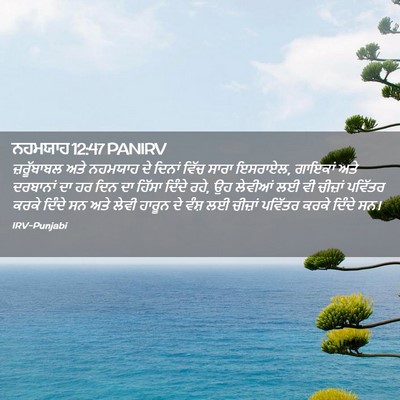 Picture 02 - ਨਹਮਯਾਹ 12:47 PANIRV - ਜ਼ਰੂੱਬਾਬਲ ਅਤੇ - Bible Verse Picture