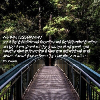 Picture 02 - ਨਹਮਯਾਹ 13:25 PANIRV - ਤਦ ਮੈਂ ਉਨ੍ਹਾਂ ਨੂੰ - Bible Verse Picture