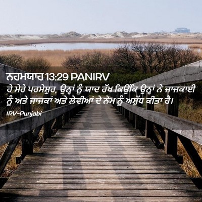 Picture 02 - ਨਹਮਯਾਹ 13:29 PANIRV - ਹੇ ਮੇਰੇ ਪਰਮੇਸ਼ੁਰ, - Bible Verse Picture