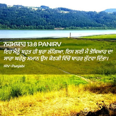 Picture 02 - ਨਹਮਯਾਹ 13:8 PANIRV - ਇਹ ਮੈਨੂੰ ਬਹੁਤ ਹੀ - Bible Verse Picture