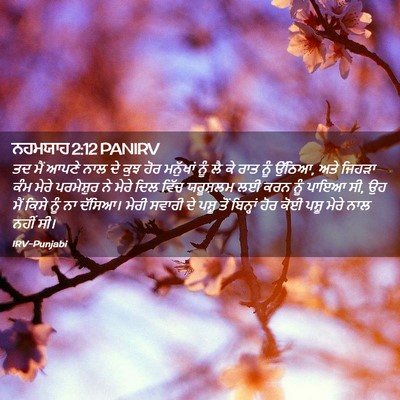 Picture 02 - ਨਹਮਯਾਹ 2:12 PANIRV - ਤਦ ਮੈਂ ਆਪਣੇ ਨਾਲ ਦੇ - Bible Verse Picture