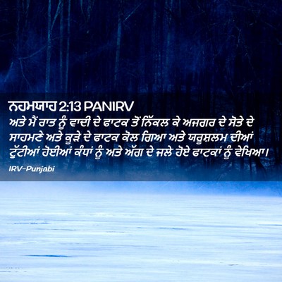 Picture 02 - ਨਹਮਯਾਹ 2:13 PANIRV - ਅਤੇ ਮੈਂ ਰਾਤ ਨੂੰ - Bible Verse Picture