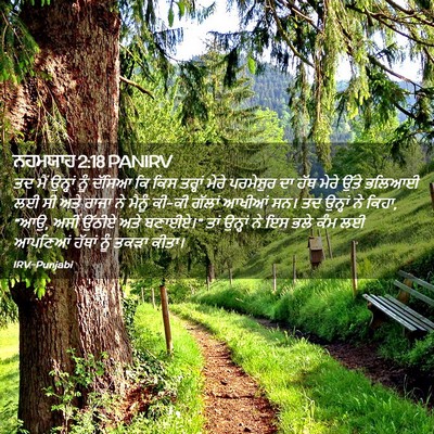 Picture 02 - ਨਹਮਯਾਹ 2:18 PANIRV - ਤਦ ਮੈਂ ਉਨ੍ਹਾਂ ਨੂੰ - Bible Verse Picture