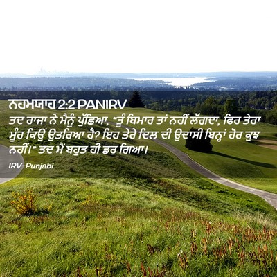 Picture 02 - ਨਹਮਯਾਹ 2:2 PANIRV - ਤਦ ਰਾਜਾ ਨੇ ਮੈਨੂੰ - Bible Verse Picture