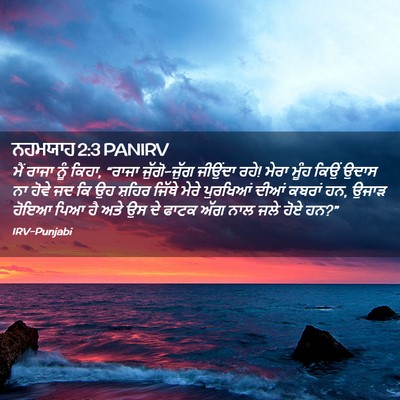 Picture 02 - ਨਹਮਯਾਹ 2:3 PANIRV - ਮੈਂ ਰਾਜਾ ਨੂੰ ਕਿਹਾ, - Bible Verse Picture