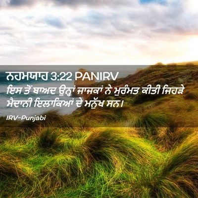 Picture 02 - ਨਹਮਯਾਹ 3:22 PANIRV - ਇਸ ਤੋਂ ਬਾਅਦ ਉਨ੍ਹਾਂ - Bible Verse Picture