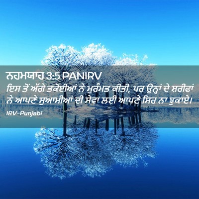 Picture 02 - ਨਹਮਯਾਹ 3:5 PANIRV - ਇਸ ਤੋਂ ਅੱਗੇ ਤਕੋਈਆਂ - Bible Verse Picture