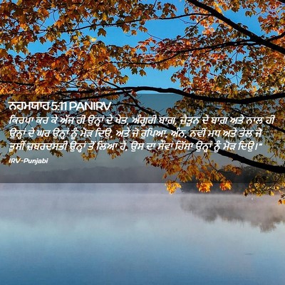 Picture 02 - ਨਹਮਯਾਹ 5:11 PANIRV - ਕਿਰਪਾ ਕਰ ਕੇ ਅੱਜ ਹੀ - Bible Verse Picture