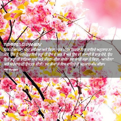 Picture 02 - ਨਹਮਯਾਹ 5:13 PANIRV - ਫਿਰ ਮੈਂ ਆਪਣਾ ਪੱਲਾ - Bible Verse Picture