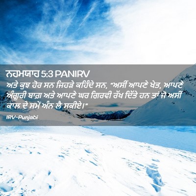 Picture 02 - ਨਹਮਯਾਹ 5:3 PANIRV - ਅਤੇ ਕੁਝ ਹੋਰ ਸਨ - Bible Verse Picture