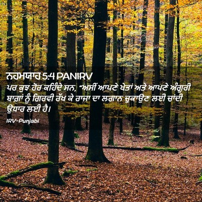 Picture 02 - ਨਹਮਯਾਹ 5:4 PANIRV - ਪਰ ਕੁਝ ਹੋਰ ਕਹਿੰਦੇ - Bible Verse Picture
