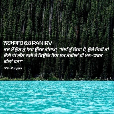 Picture 02 - ਨਹਮਯਾਹ 6:8 PANIRV - ਤਦ ਮੈਂ ਉਸ ਨੂੰ ਇਹ - Bible Verse Picture
