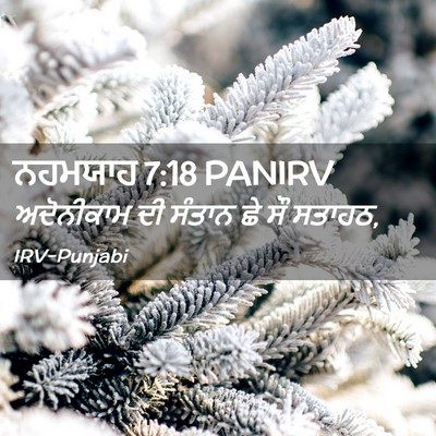 Picture 02 - ਨਹਮਯਾਹ 7:18 PANIRV - ਅਦੋਨੀਕਾਮ ਦੀ ਸੰਤਾਨ - Bible Verse Picture