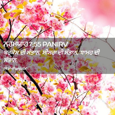 Picture 02 - ਨਹਮਯਾਹ 7:55 PANIRV - ਬਰਕੋਸ ਦੀ ਸੰਤਾਨ, - Bible Verse Picture