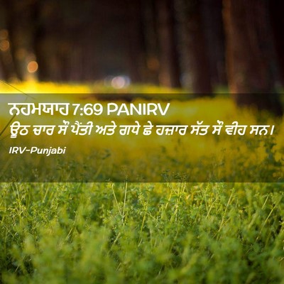 Picture 02 - ਨਹਮਯਾਹ 7:69 PANIRV - ਊਠ ਚਾਰ ਸੌ ਪੈਂਤੀ ਅਤੇ - Bible Verse Picture