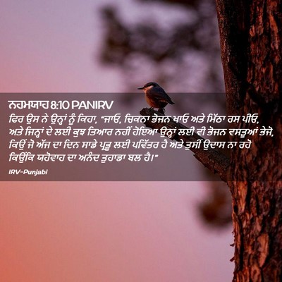Picture 02 - ਨਹਮਯਾਹ 8:10 PANIRV - ਫਿਰ ਉਸ ਨੇ ਉਨ੍ਹਾਂ - Bible Verse Picture
