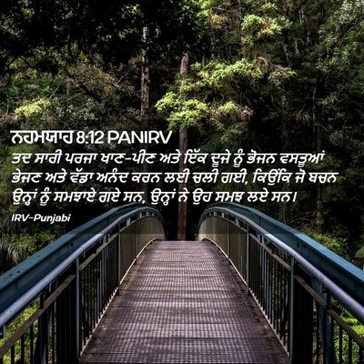 Picture 02 - ਨਹਮਯਾਹ 8:12 PANIRV - ਤਦ ਸਾਰੀ ਪਰਜਾ - Bible Verse Picture