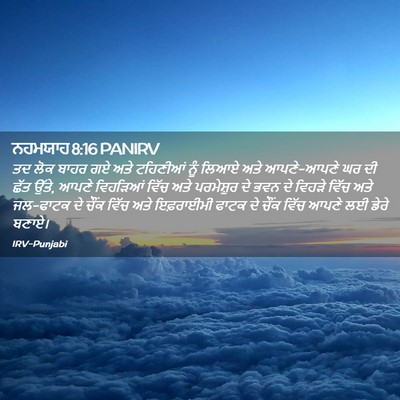 Picture 02 - ਨਹਮਯਾਹ 8:16 PANIRV - ਤਦ ਲੋਕ ਬਾਹਰ ਗਏ ਅਤੇ - Bible Verse Picture