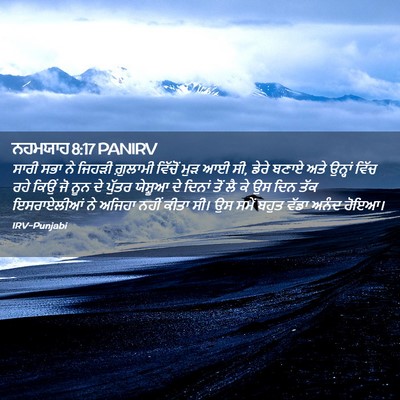 Picture 02 - ਨਹਮਯਾਹ 8:17 PANIRV - ਸਾਰੀ ਸਭਾ ਨੇ ਜਿਹੜੀ - Bible Verse Picture
