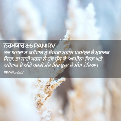 Picture 02 - ਨਹਮਯਾਹ 8:6 PANIRV - ਤਦ ਅਜ਼ਰਾ ਨੇ ਯਹੋਵਾਹ - Bible Verse Picture