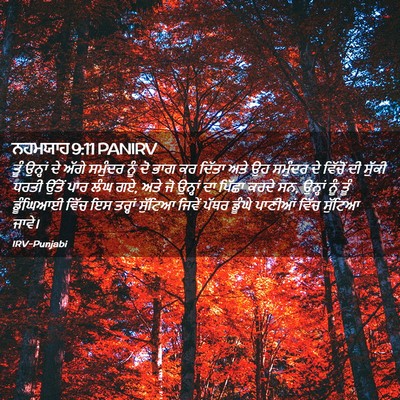 Picture 02 - ਨਹਮਯਾਹ 9:11 PANIRV - ਤੂੰ ਉਨ੍ਹਾਂ ਦੇ ਅੱਗੇ - Bible Verse Picture