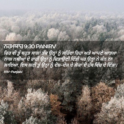 Picture 02 - ਨਹਮਯਾਹ 9:30 PANIRV - ਫਿਰ ਵੀ ਤੂੰ ਬਹੁਤ - Bible Verse Picture