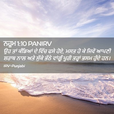 Picture 02 - ਨਹੂਮ 1:10 PANIRV - ਉਹ ਤਾਂ ਕੰਡਿਆਂ ਦੇ - Bible Verse Picture