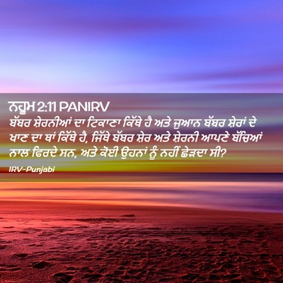 Picture 02 - ਨਹੂਮ 2:11 PANIRV - ਬੱਬਰ ਸ਼ੇਰਨੀਆਂ ਦਾ - Bible Verse Picture