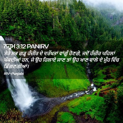 Picture 02 - ਨਹੂਮ 3:12 PANIRV - ਤੇਰੇ ਸਭ ਗੜ੍ਹ - Bible Verse Picture