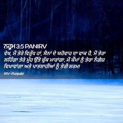 Picture 02 - ਨਹੂਮ 3:5 PANIRV - ਵੇਖ, ਮੈਂ ਤੇਰੇ - Bible Verse Picture
