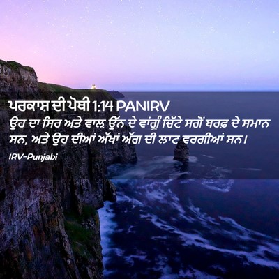 Picture 02 - ਪਰਕਾਸ਼ ਦੀ ਪੋਥੀ 1:14 PANIRV - ਉਹ ਦਾ ਸਿਰ ਅਤੇ ਵਾਲ਼ - Bible Verse Picture