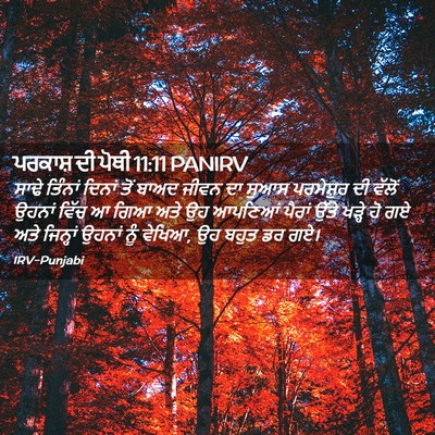 Picture 02 - ਪਰਕਾਸ਼ ਦੀ ਪੋਥੀ 11:11 PANIRV - ਸਾਢੇ ਤਿੰਨਾਂ ਦਿਨਾਂ - Bible Verse Picture