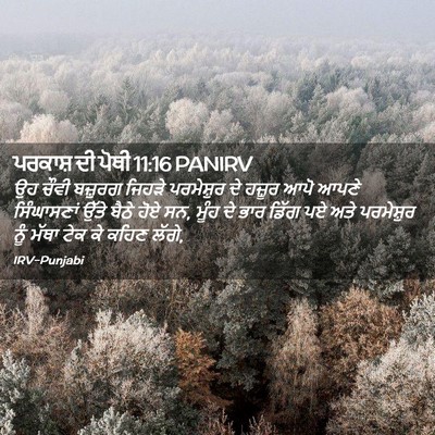 Picture 02 - ਪਰਕਾਸ਼ ਦੀ ਪੋਥੀ 11:16 PANIRV - ਉਹ ਚੌਵੀ ਬਜ਼ੁਰਗ - Bible Verse Picture