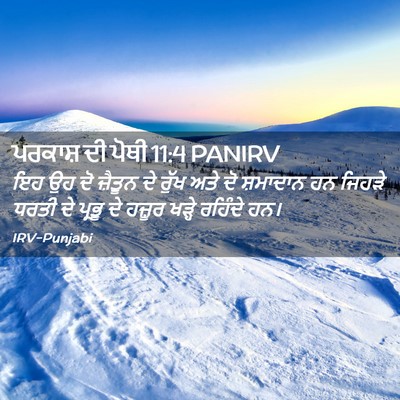 Picture 02 - ਪਰਕਾਸ਼ ਦੀ ਪੋਥੀ 11:4 PANIRV - ਇਹ ਉਹ ਦੋ ਜ਼ੈਤੂਨ ਦੇ - Bible Verse Picture