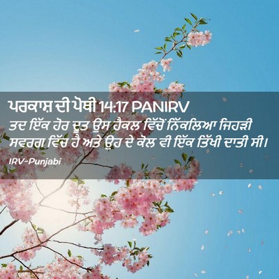 Picture 02 - ਪਰਕਾਸ਼ ਦੀ ਪੋਥੀ 14:17 PANIRV - ਤਦ ਇੱਕ ਹੋਰ ਦੂਤ ਉਸ - Bible Verse Picture