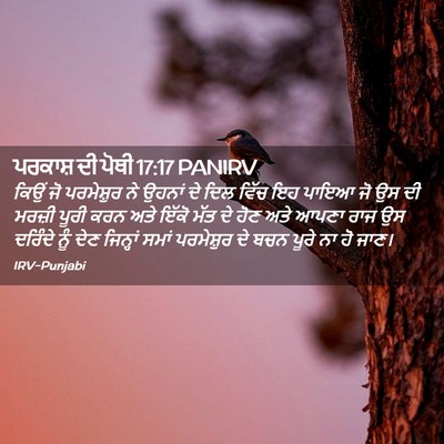 Picture 02 - ਪਰਕਾਸ਼ ਦੀ ਪੋਥੀ 17:17 PANIRV - ਕਿਉਂ ਜੋ ਪਰਮੇਸ਼ੁਰ - Bible Verse Picture