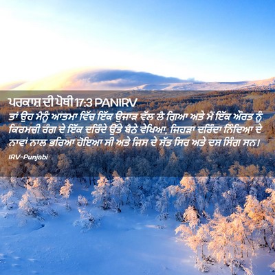 Picture 02 - ਪਰਕਾਸ਼ ਦੀ ਪੋਥੀ 17:3 PANIRV - ਤਾਂ ਉਹ ਮੈਨੂੰ ਆਤਮਾ - Bible Verse Picture