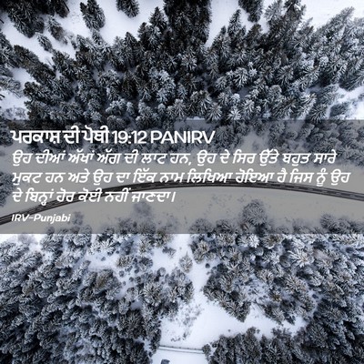 Picture 02 - ਪਰਕਾਸ਼ ਦੀ ਪੋਥੀ 19:12 PANIRV - ਉਹ ਦੀਆਂ ਅੱਖਾਂ ਅੱਗ - Bible Verse Picture